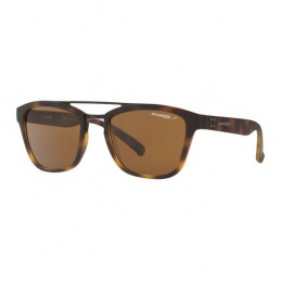 Gafas de Sol Hombre Arnette...