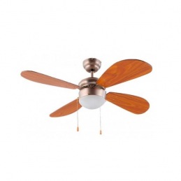 Ceiling Fan with Light...