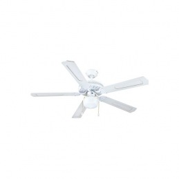 Ceiling Fan with Light...