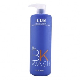 Anti-Frizz Shampoo Bk Wash...