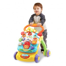 Tricycle Vtech Multicouleur...