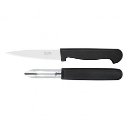 Knife Set Amefa Polypro (2...