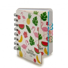 Agenda Pincello (12 x 1 x...