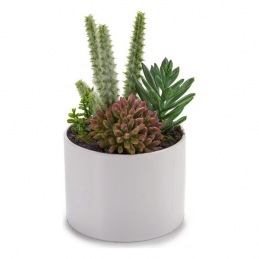 Plant pot Ibergarden (11 x...