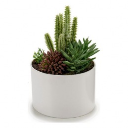 Plant pot Ibergarden (13 x...