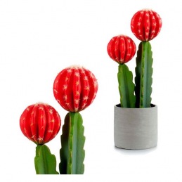 Cactus Ibergarden Plastica...