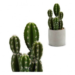 Cactus Ibergarden Plastica...