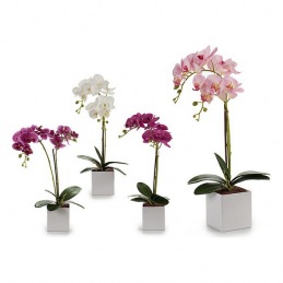 Plant pot Ibergarden (14 x...