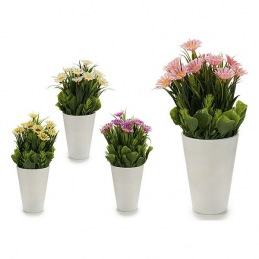 Plant pot Ibergarden (9 x...