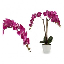 Pot Ibergarden Fuchsia (44...