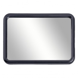 Mirror with Mounting...