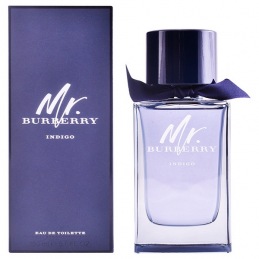 Men's Perfume Mr Burberry...