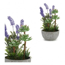 Decorative Plant Plastic...