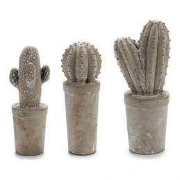 Cactus Piedra Cactus 3 (11...