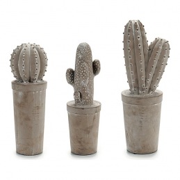 Cactus Piedra Cactus 3 (13...