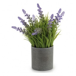 Planta Decorativa Gris...