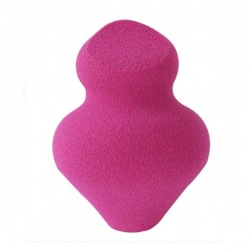 Make-up Sponge Miracle...