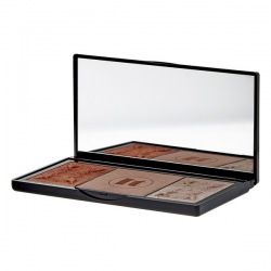 Bronzing Powder Le Tout...