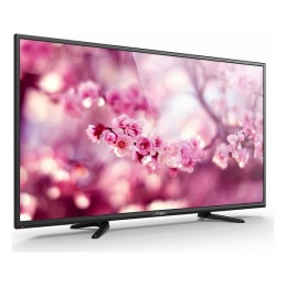 Television Engel LE4060T2...