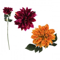 Decorative Flower Dahlia...