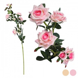 Mazzo da 5 Rose 113045 (85 cm)