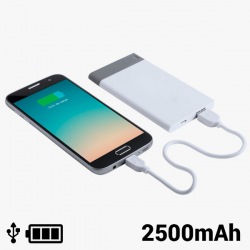 Power Bank with Removable...