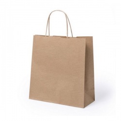 Bolsa de Papel (22 x 23 x 9...