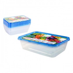 Set of 10 lunch boxes...